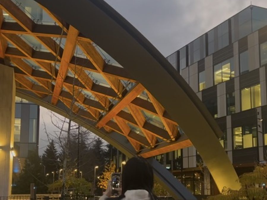 Someone raising a phone to the timber arch on campus at dusk