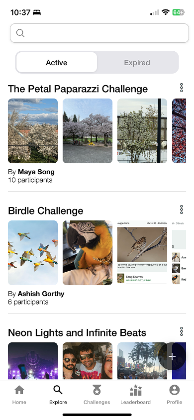 Old explore — a flat list of image rows with an Expired tab